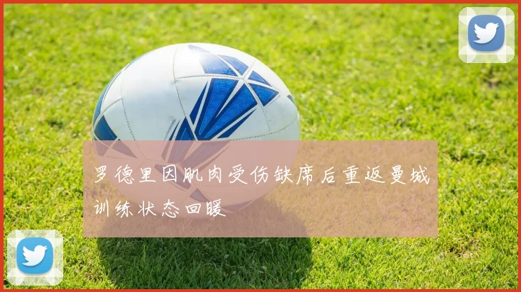 罗德里因肌肉受伤缺席后重返曼城训练状态回暖
