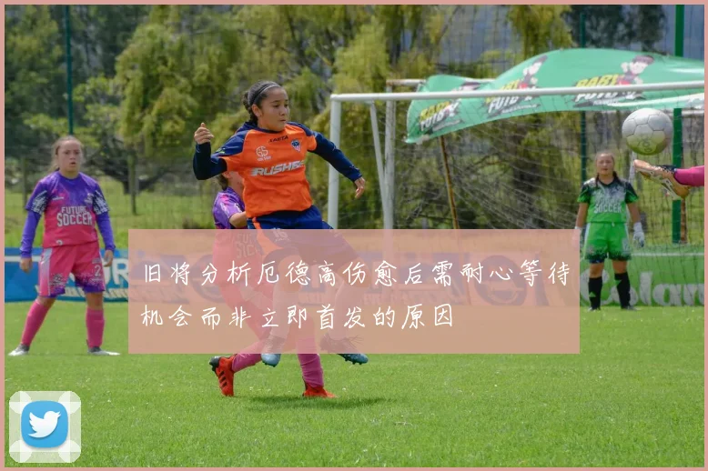 旧将分析厄德高伤愈后需耐心等待机会而非立即首发的原因