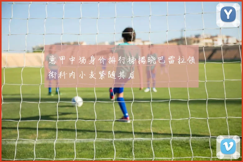 意甲中场身价排行榜揭晓巴雷拉领衔科内小麦紧随其后