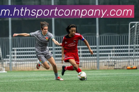 华体会足球平台生态图